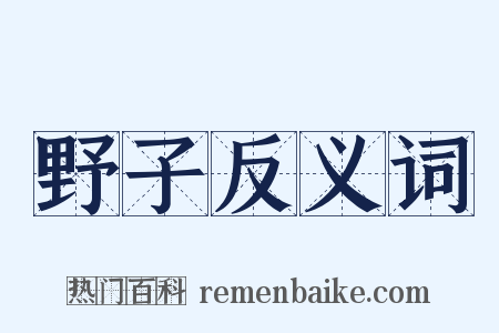 野子反义词是什么意思的图片